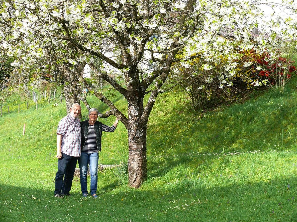 Ferienwohnung Eichler Feldkirchen in Kärnten Buitenkant foto